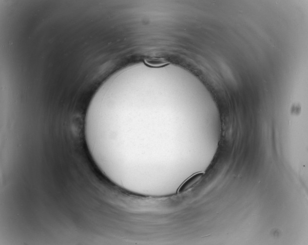 X0000103290036200809191841