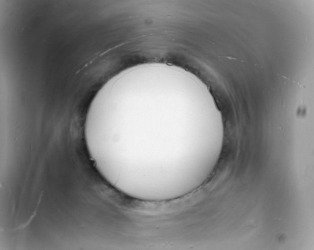 X0000103290037200809191841