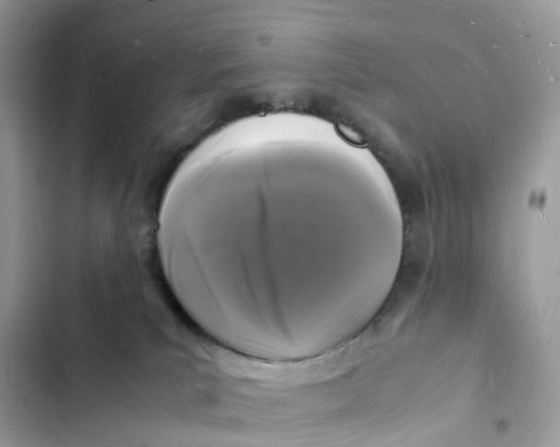 X0000103290039200809191841