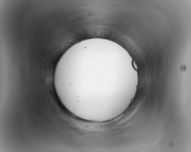 X0000103290040200809191841