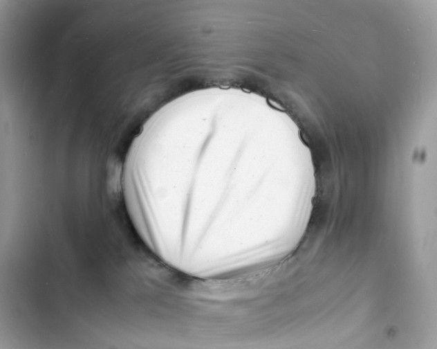 X0000103290041200809191841