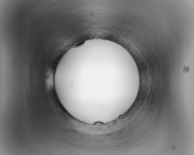 X0000103290042200809191841