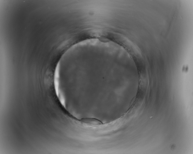 X0000103290043200809191841