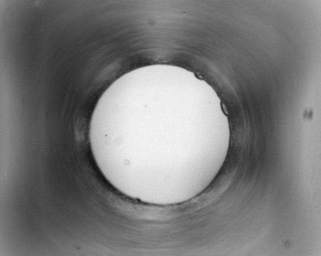 X0000103290044200809191841