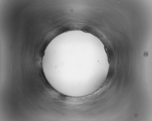 X0000103290045200809191841