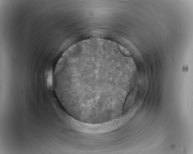 X0000103290046200809191841