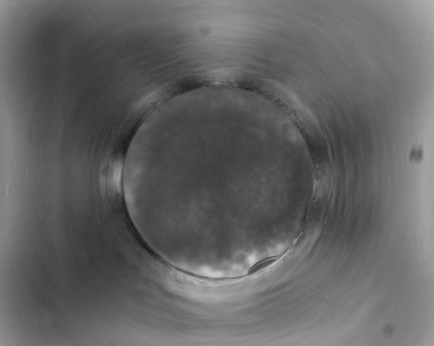 X0000103290047200809191841