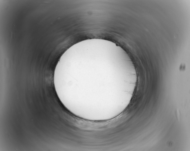 X0000103290048200809191841