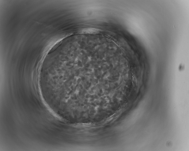 X0000103290049200809191840