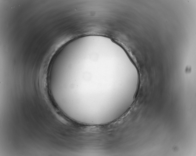 X0000103290050200809191840