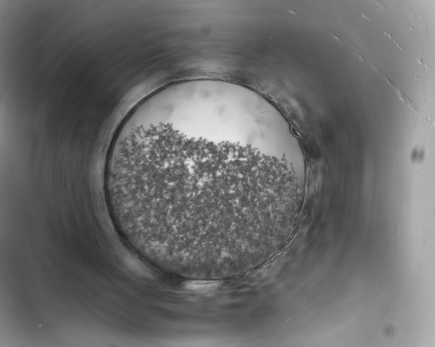 X0000103290051200809191840