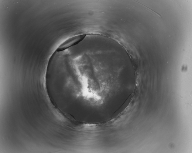 X0000103290052200809191840