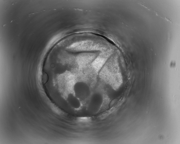 X0000103290053200809191840