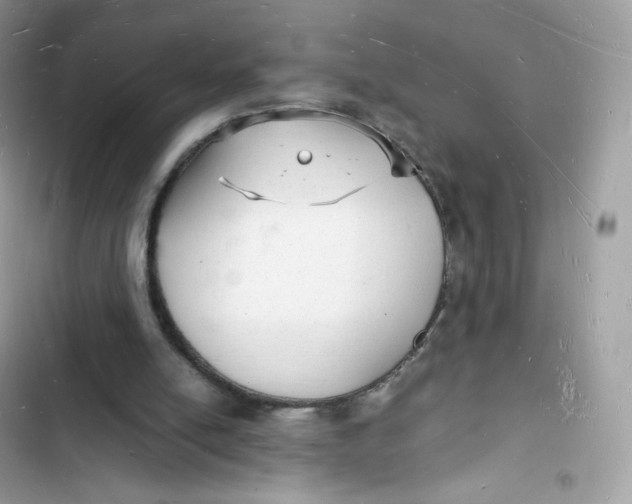 X0000103290054200809191840