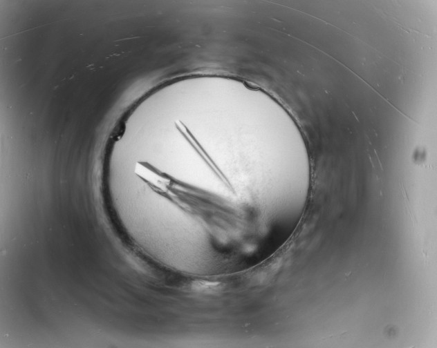 X0000103290055200809191840