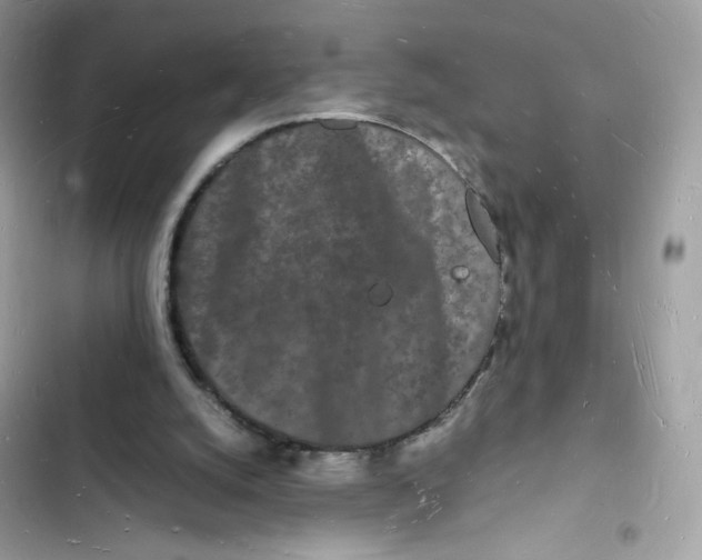 X0000103290056200809191840