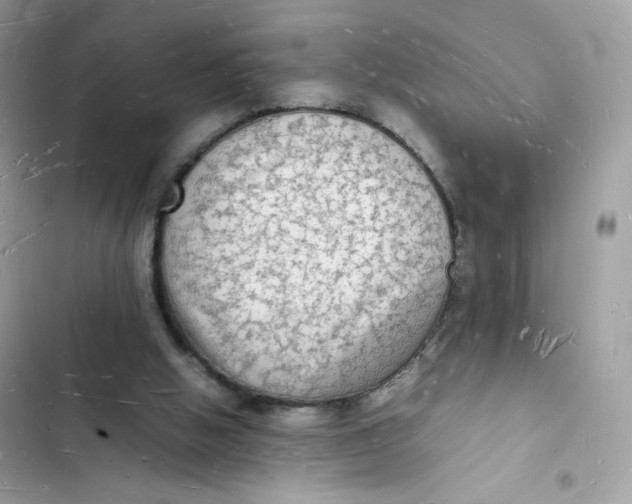 X0000103290058200809191840