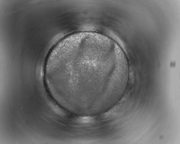 X0000103290059200809191840