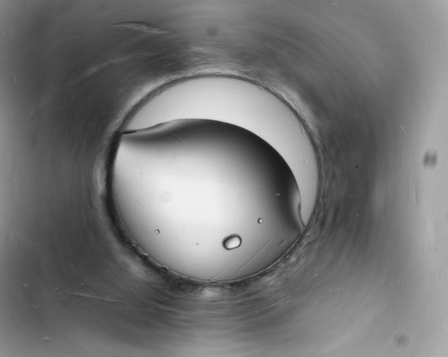 X0000103290060200809191840