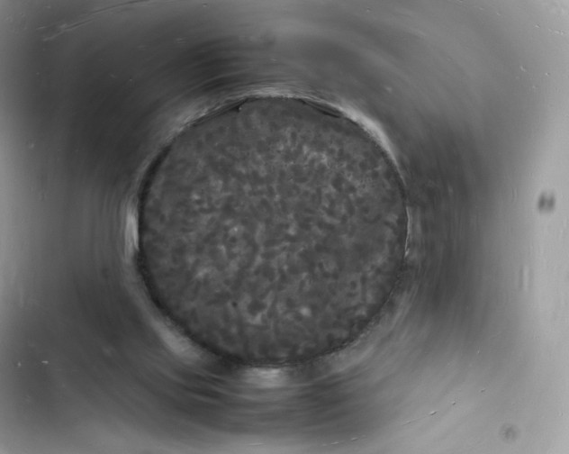 X0000103290061200809191840