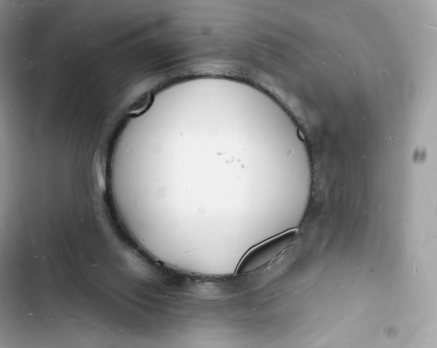 X0000103290062200809191840