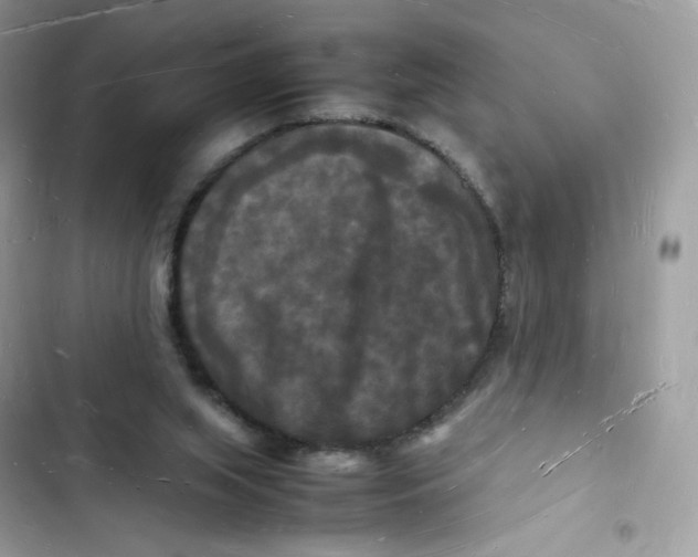 X0000103290063200809191840