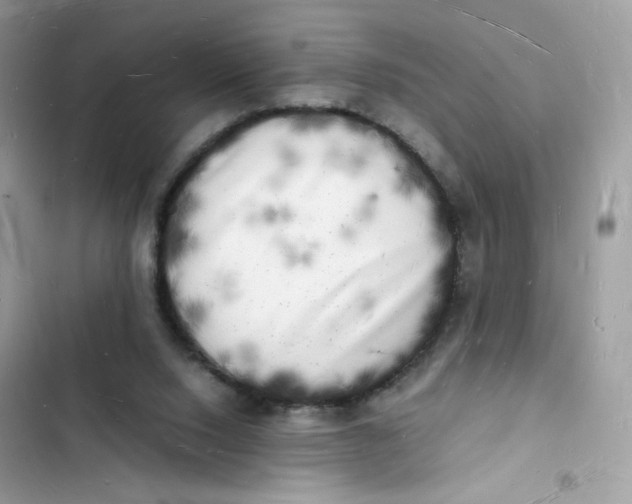 X0000103290064200809191840