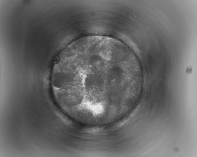 X0000103290065200809191840