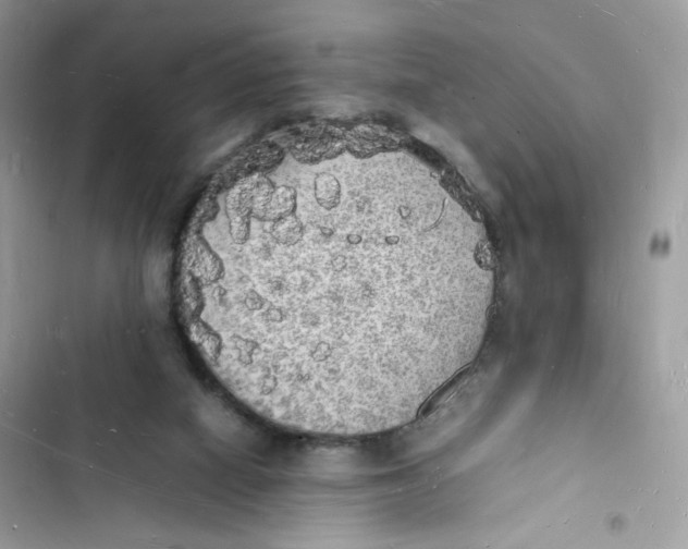 X0000103290066200809191840