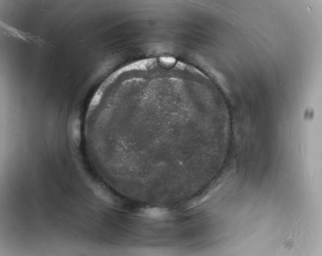 X0000103290067200809191840