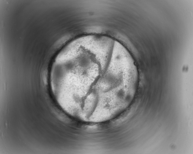 X0000103290068200809191840