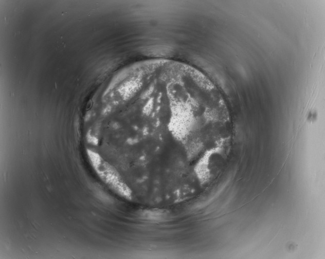 X0000103290069200809191840