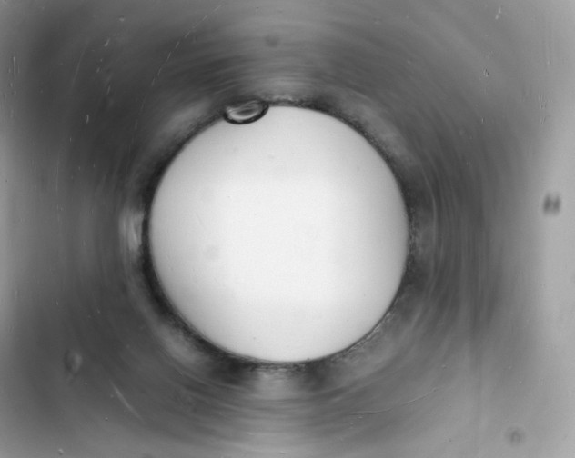 X0000103290070200809191840