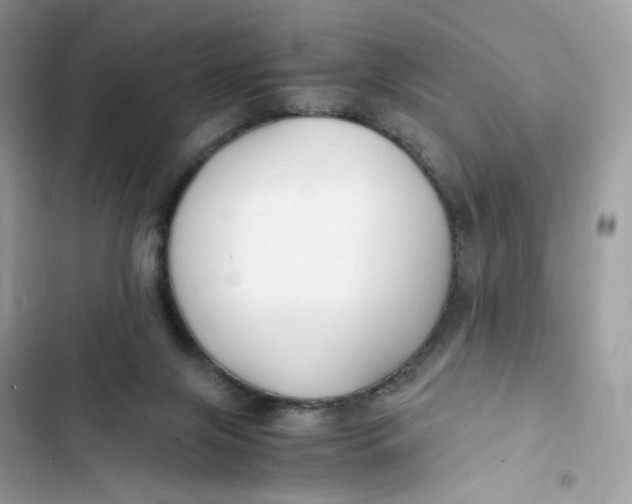 X0000103290071200809191840