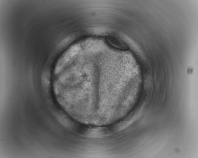 X0000103290072200809191840