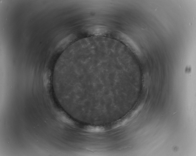 X0000103290073200809191840