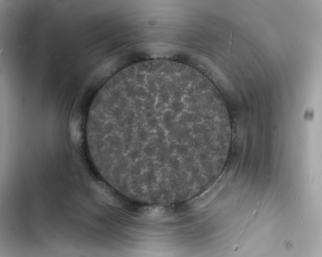 X0000103290074200809191840