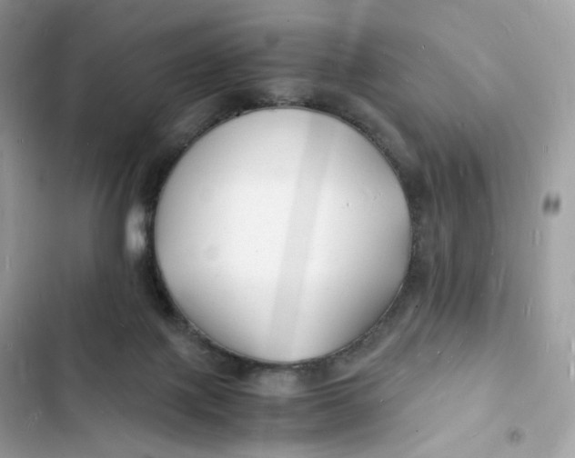 X0000103290075200809191840