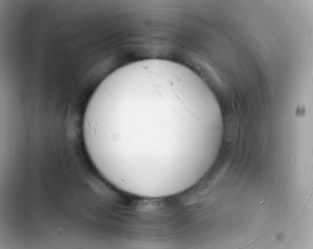 X0000103290077200809191840