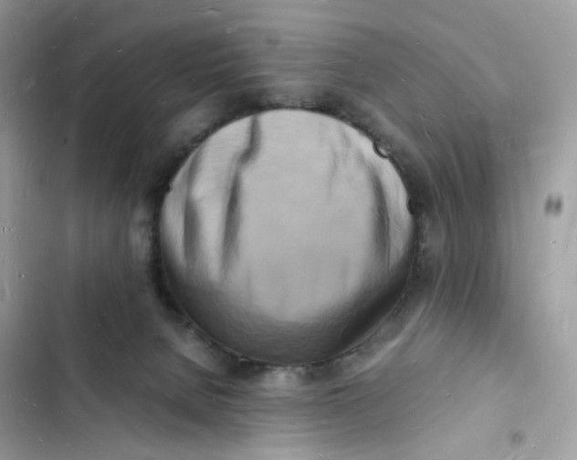 X0000103290080200809191841