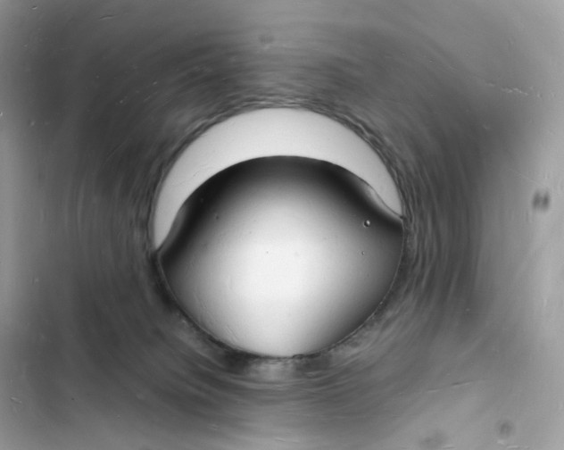 X0000103290084200809191841