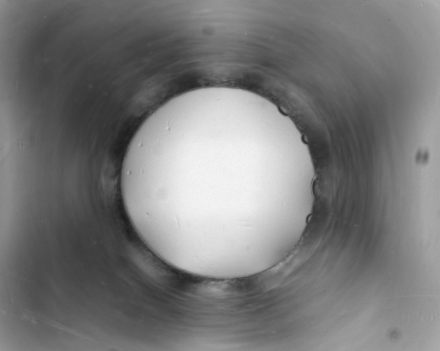 X0000103290086200809191841