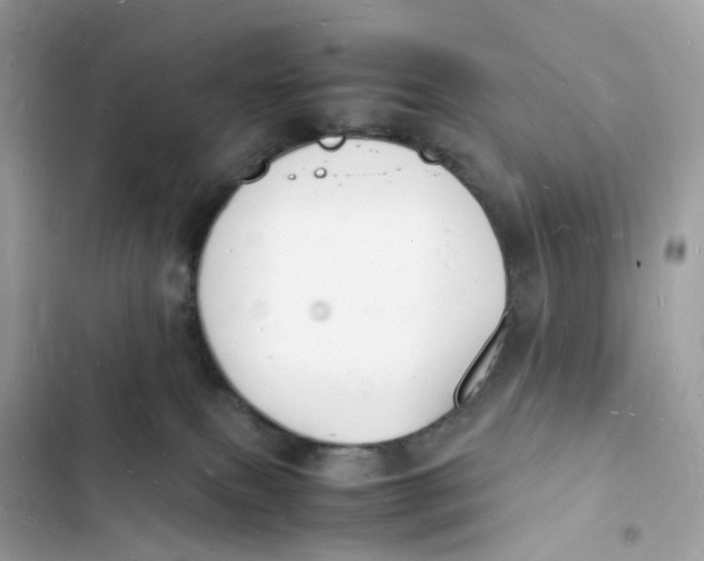 X0000103290087200809191841