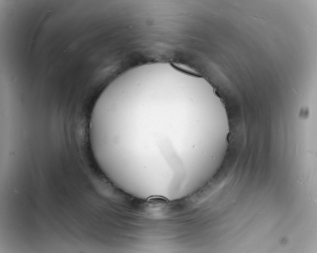 X0000103290088200809191841