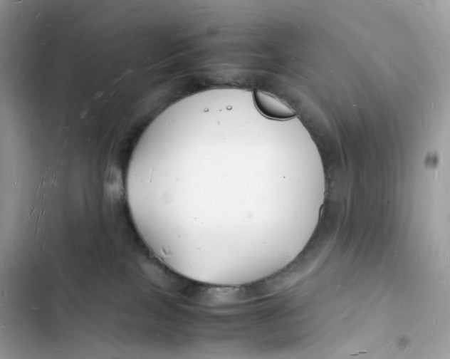 X0000103290089200809191841