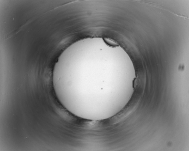 X0000103290092200809191841