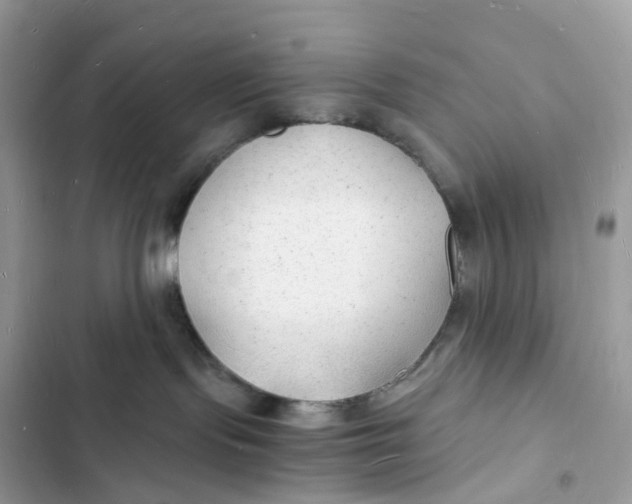 X0000103290095200809191841