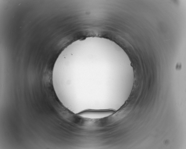 X0000103290096200809191841