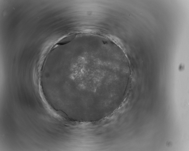 X0000103290097200809191840