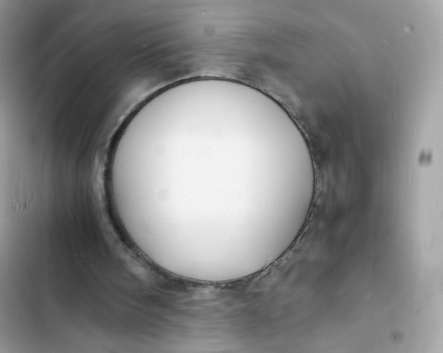 X0000103290098200809191840